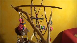 How to make an inexpensive parrot tree play stand [upl. by Aman538]