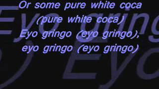 Akon gringo lyricswmv [upl. by Haizek]