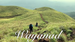 Things to do in Wayanad  Must visit Wayanad  Wayanad  Where to Stay and Eat in Wayanad [upl. by Alvinia544]