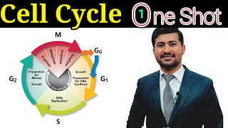 Cell cycle chapter 19 Fsc biology class 12 in one shot [upl. by Smitty]