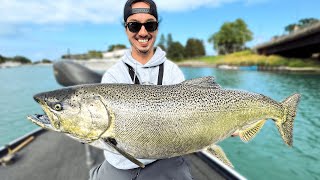 BOBBER Fishing Skein For KING SALMON On Lake Michigan [upl. by Annahvas]