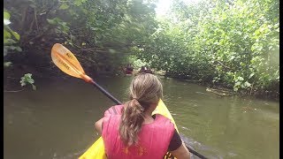 Kayak Hike Swim at not so “Secret Falls” at Wailua River Kauai Hawaii [upl. by Alla857]