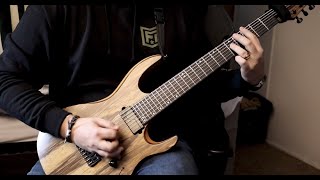 Vanish Canvas  ERRA Guitar Cover [upl. by Yrohcaz]