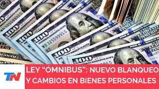 REFORMA FISCAL I Blanqueo y cambios en bienes personales [upl. by Dlanar95]