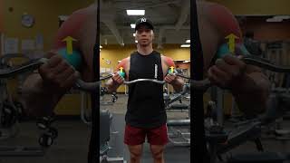 STOP Making This Bicep Curl MISTAKE [upl. by Mullen]