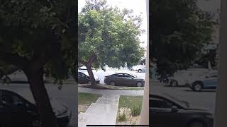 Girl Caught Stealing Package from Doorstep on Camera  Shocking Footage [upl. by Enneillij573]