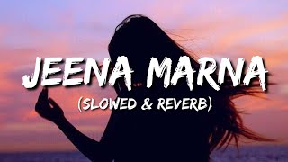 Jeena Marna Lyrics  Slowed amp Reverb [upl. by Fini]