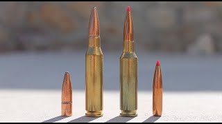 7mm08 vs 65 Creedmoor Whats Best For You [upl. by Asoral]