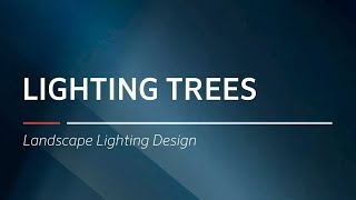 Lighting Trees  Landscape Lighting Design by FX Luminaire [upl. by Eimmas805]