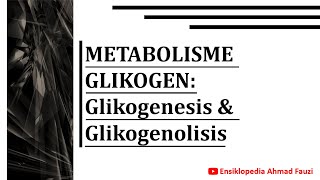 Metabolisme dan Regulasi Glikogen Glikogenesis amp Glikogenolisis [upl. by Rudwik]