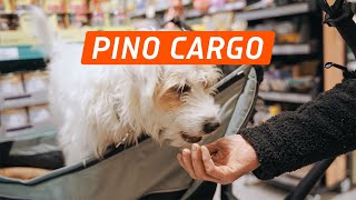 Ich packs dann mal – PINO CARGO [upl. by Collum435]