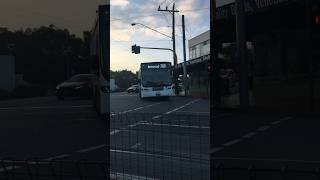 Ventura bus 1526 on Route 766 at Burwood HighwayWarrigal Road intersection Burwood Melbourne [upl. by Biagio]