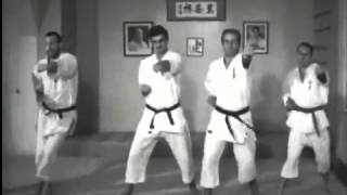 Dutch Pioneering Karate 1962 [upl. by Skippy]