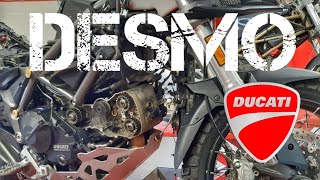 The Desmo Service Multistrada 950  motovlog [upl. by Forras92]