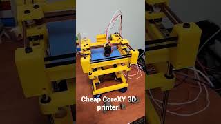 Cheap CoreXY 3D Printer [upl. by Idnim]