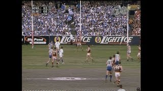 AFL 1998 Grand Final Adelaide Vs North Melbourne [upl. by Amity354]