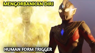 PENGGANTI DAIGO  Kisah MANAKA KENGO Dari Ultraman Trigger [upl. by Ylahtan]