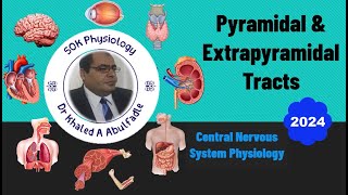 Pyramidal amp Extrapyramidal Tracts Descending Tracts Physiology 112024 by Dr Khaled A Abulfadle [upl. by Nodnalb]