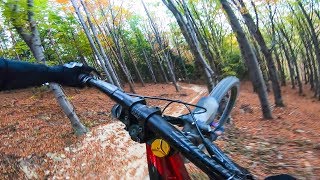 NAJSZYBSZA TRASA W POLSCE l ALine Góra Żar PKL Bikeparks Październik 2018 [upl. by Ainirtac]