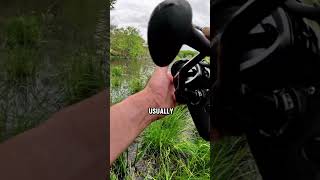 Why you need fishing waders fishing bassfishing fishinglife [upl. by Llerod]