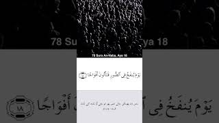 Sura AnNaba  Recitation amp Translation In Arabic amp Urdu 78114 [upl. by Issiah855]