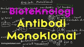 Bioteknologi Modern Antibodi Monoklonal [upl. by Acnaiv514]