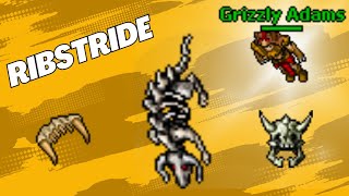 Tibia  Task Boss Ribstride 2024 [upl. by Iamhaj]