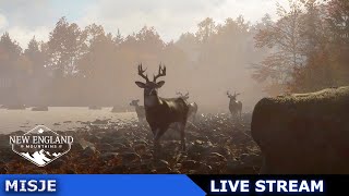 🔴Wędrówki po Górach Nowej Anglii  theHunter Call of the Wild Live Stream [upl. by Laeira]