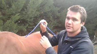 Saddle fitting pt1 How to use the Gullet Measuring Tool [upl. by Lanny]