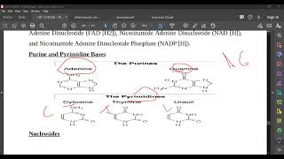 L85 Nucleotides [upl. by Blackmore222]