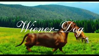 Eric William MorrisMarc Shaiman  The Ballad of WienerDog from the WienerDog OST [upl. by Akcirred]