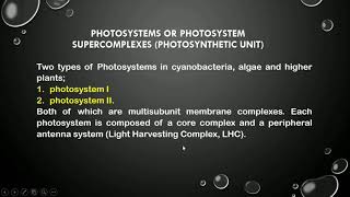 Photosynthesis part 1 Photosystem l and ll [upl. by Yuhas360]