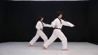 Poomsae 3태극 3장 [upl. by Nanor]