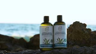 Strengthening Shampoo and Conditioner in Seaweed amp Argan Oil  Petal Fresh® Pure [upl. by Adnovoj]