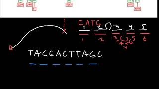 What is amplicon stuttering [upl. by Midge]