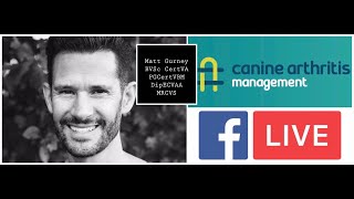 CAM LIVE Nonsteroidal antiinflammatories and grapiprant galliprant with Matt Gurney [upl. by Nylynnej607]