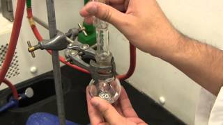 UTSC  Chemistry Lab Grignard Reaction Experiment [upl. by Winters]