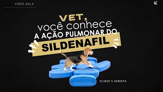 Vet você conhece a ação pulmonar do Sildenafil [upl. by Elon245]