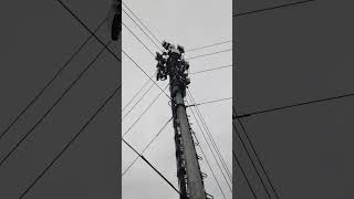 CLIMBING ON 100FT MONO POLE GUYED TOWER HEIGHT part 1 [upl. by Tabib]