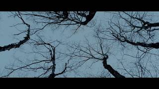 Pyewacket 2018 Exclusive Clip HD [upl. by Elaweda]