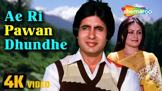 Ae Ri Pawan Dhunde 4K Video  Bemisal 1982  Rakhee Amitabh Bachchan  Lata Mangeshkar Hit Song [upl. by Ellerret934]