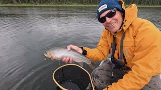 Four days of fly fishing in four different places catching four different fish species  June 2023 [upl. by Moyna]