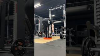 Deficit barbell row old school style gymtips workouttips bodybuilding [upl. by Nodnas119]