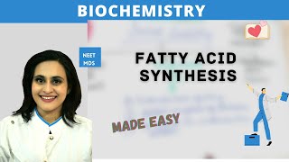 Mastering Fatty Acid Synthesis StepbyStep Biochemistry Breakdown [upl. by Ahsenrat]