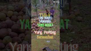 Petani kelapa [upl. by Eiramlatsyrc]