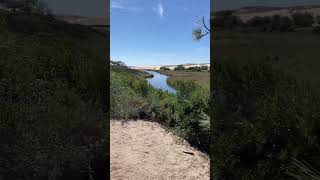 On visite la réserve naturelle du courant d’Huchet en fourgon aménagé [upl. by Reviel]