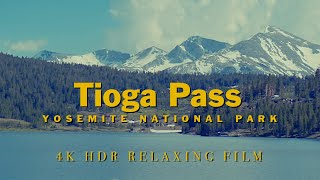 Tioga Pass Yosemite National Park  4K Cinematic Relaxing  Sony FX30 [upl. by Doretta732]