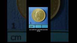 Finding BRITISH GOLD COINS  Mozambique diving archaeology treasure underwater maritime [upl. by Caddaric]