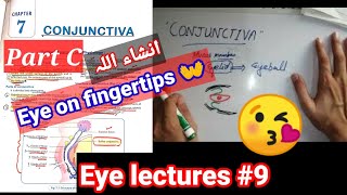 Eye lectures 9 conjunctivitis bacterial conjunctivitis viral conjunctivitis verneal conjunctiva [upl. by Teddy]