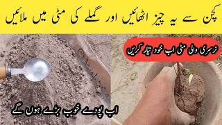 Nursery wali mitti ab khud taiyar Karen  How to make organic potting soil for plants [upl. by Hola]